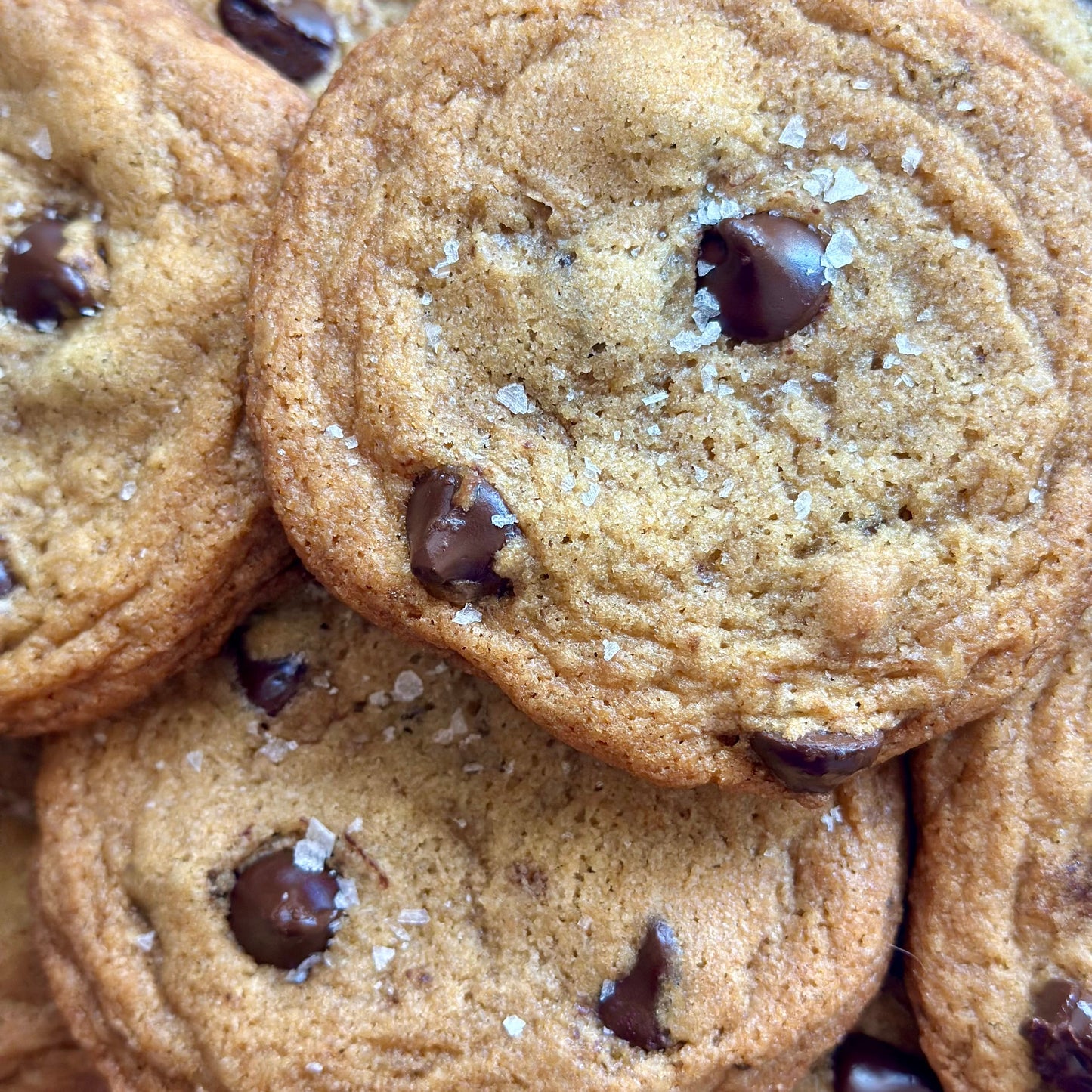 Sourdough Chocolate Chip Cookies