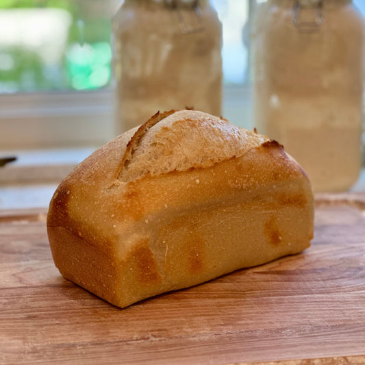 Sourdough Country Loaf